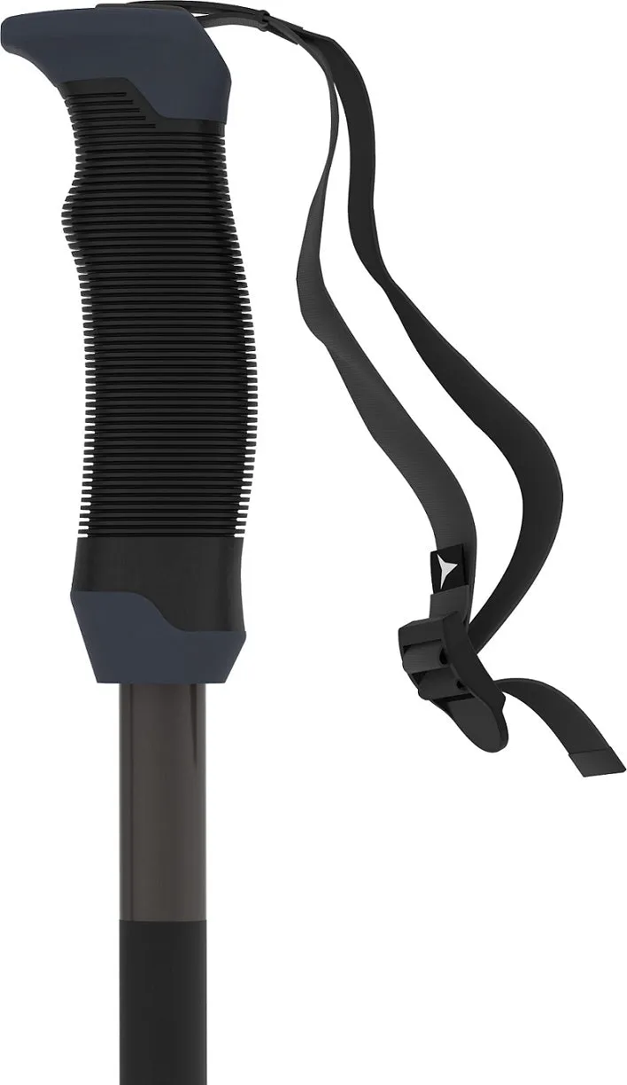 AMT SQS Ski Pole