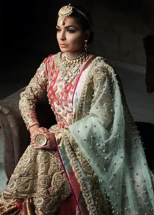 Beautiful Indian bridal gharara dress embroidered for wedding wear # B3393