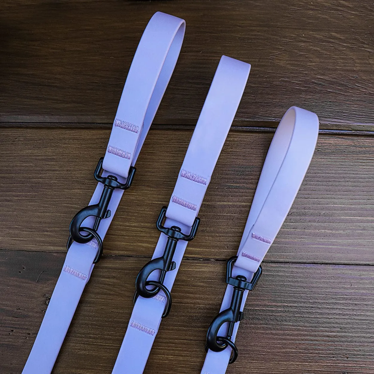 Black Leash and Collar Set