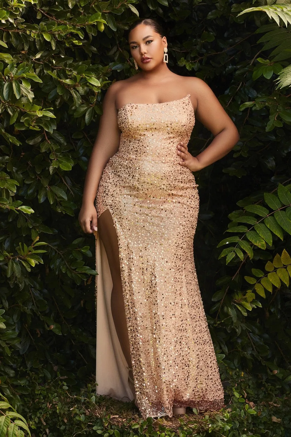 Cinderella Evening Dress CH165C