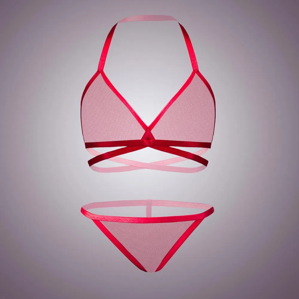 Classic Sheer Mesh Bra & Panty Set