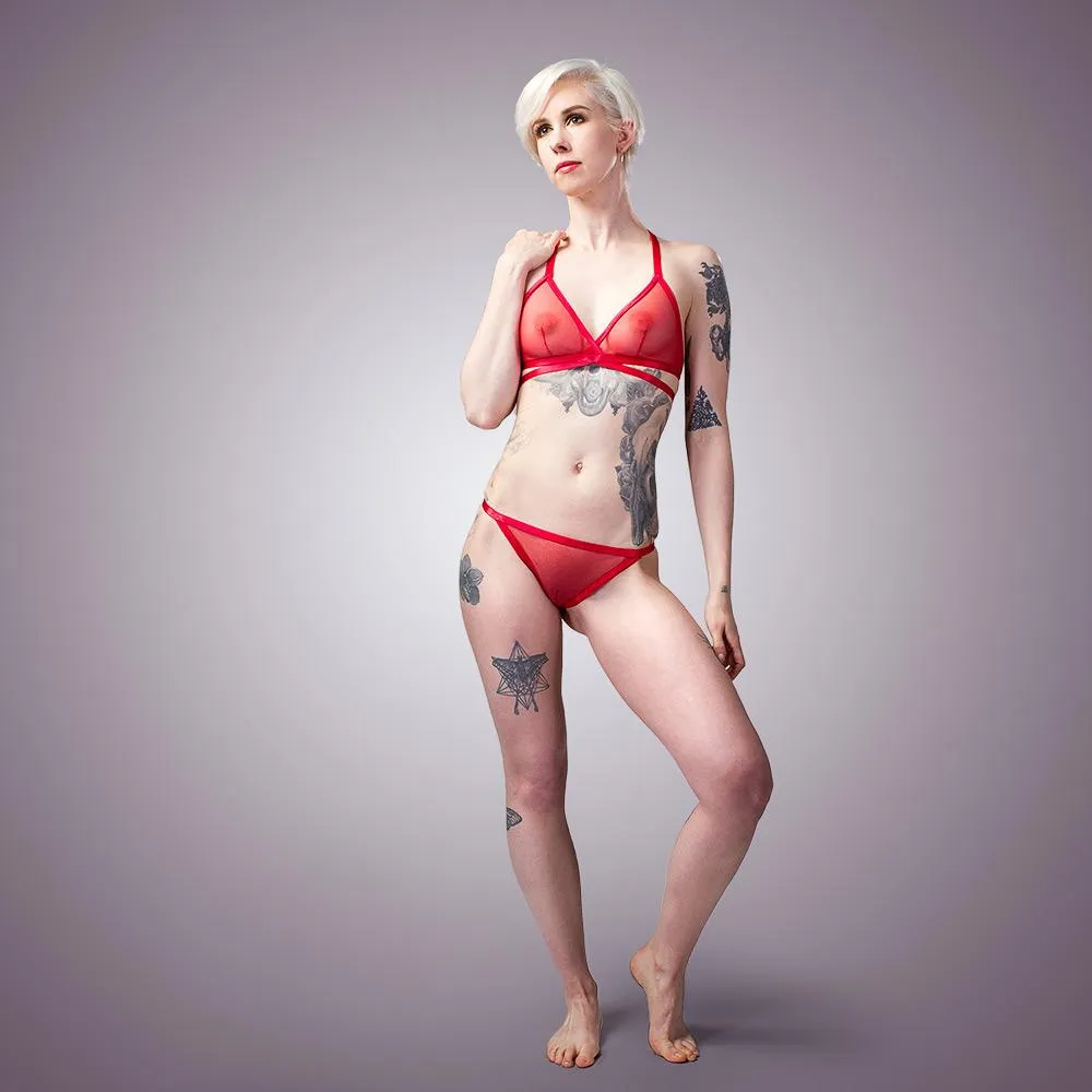 Classic Sheer Mesh Bra & Panty Set