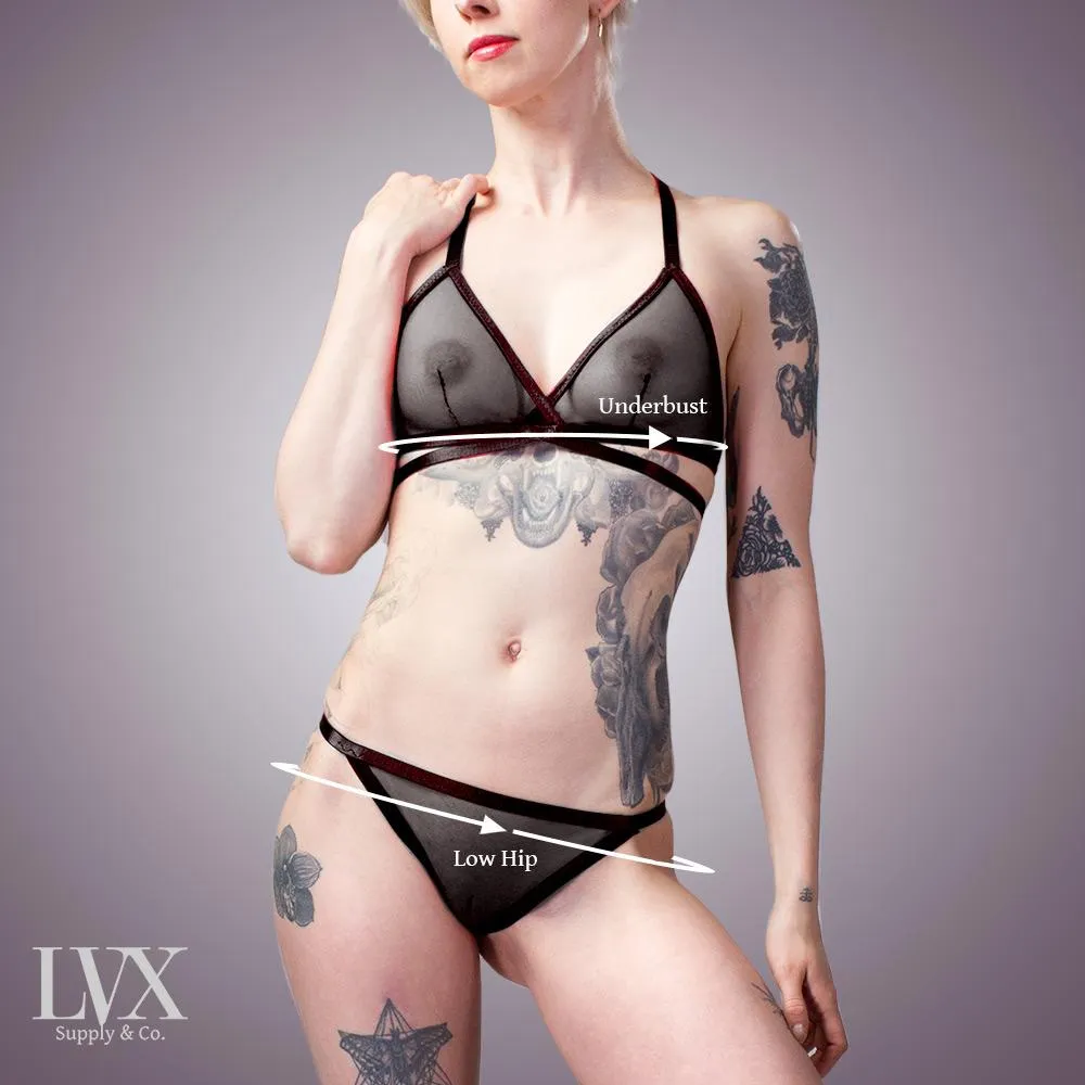 Classic Sheer Mesh Bra & Panty Set