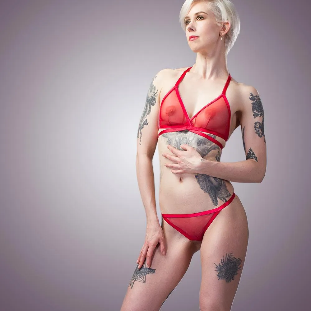 Classic Sheer Mesh Bra & Panty Set