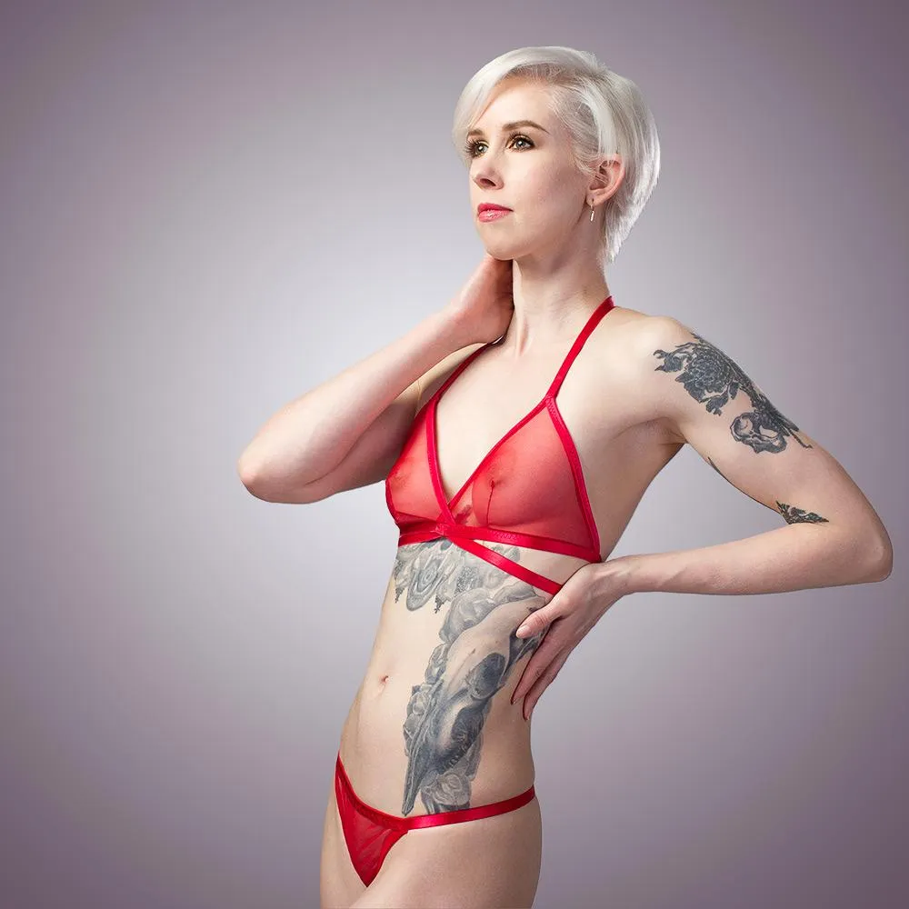 Classic Sheer Mesh Bra & Panty Set