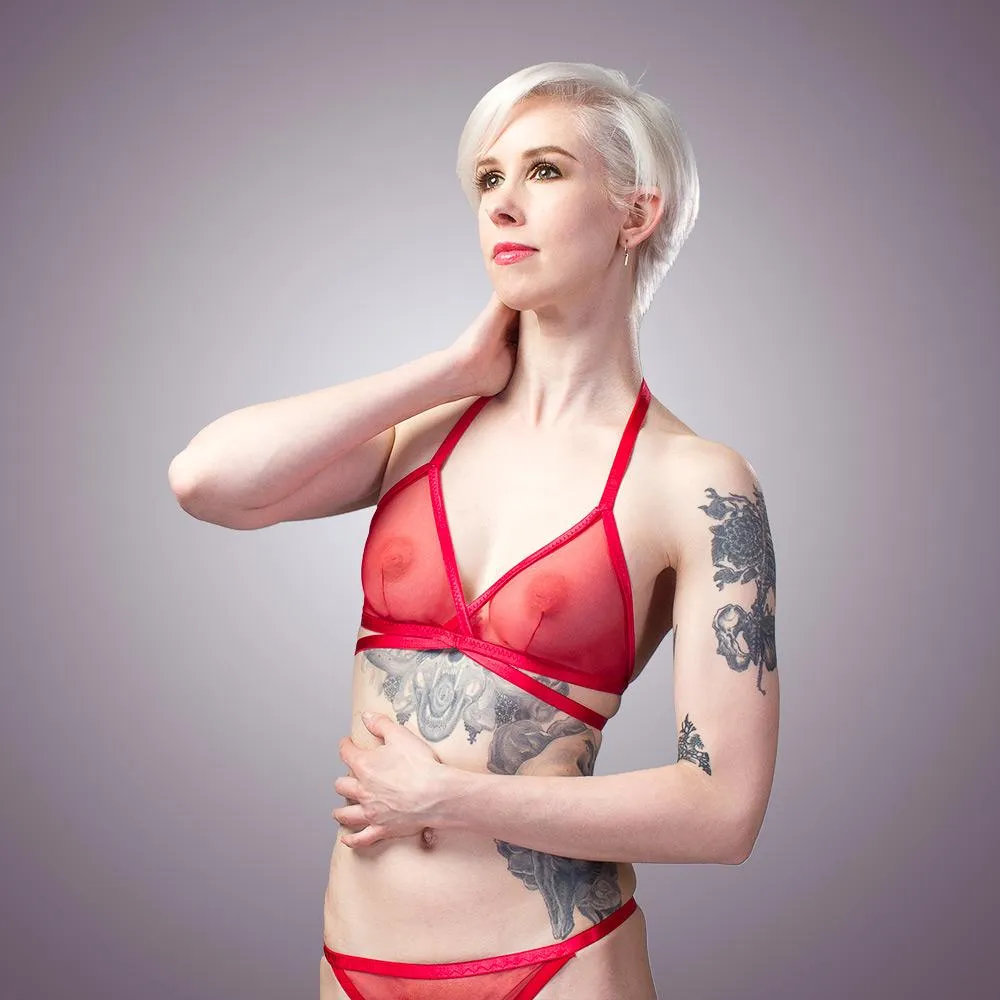 Classic Sheer Mesh Bra & Panty Set