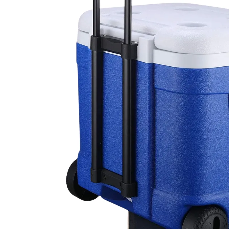 Cool Box Food Storage Box Home Refrigerator Outdoor Portable Compressor Cool Box, Refrigerated Fresh, Keeps Cold, Car and Camping, Travel