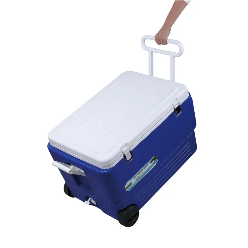 Cool Box Food Storage Box Home Refrigerator Outdoor Portable Compressor Cool Box, Refrigerated Fresh, Keeps Cold, Car and Camping, Travel