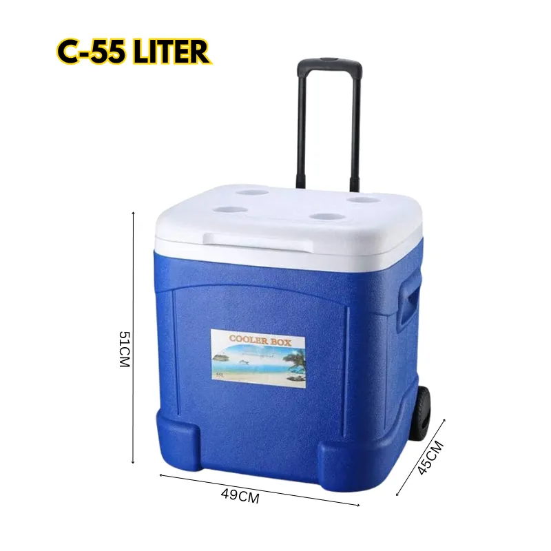 Cool Box Food Storage Box Home Refrigerator Outdoor Portable Compressor Cool Box, Refrigerated Fresh, Keeps Cold, Car and Camping, Travel