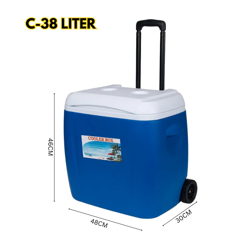 Cool Box Food Storage Box Home Refrigerator Outdoor Portable Compressor Cool Box, Refrigerated Fresh, Keeps Cold, Car and Camping, Travel