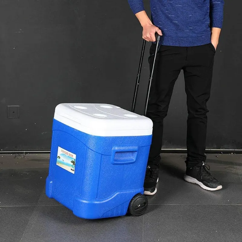 Cool Box Food Storage Box Home Refrigerator Outdoor Portable Compressor Cool Box, Refrigerated Fresh, Keeps Cold, Car and Camping, Travel