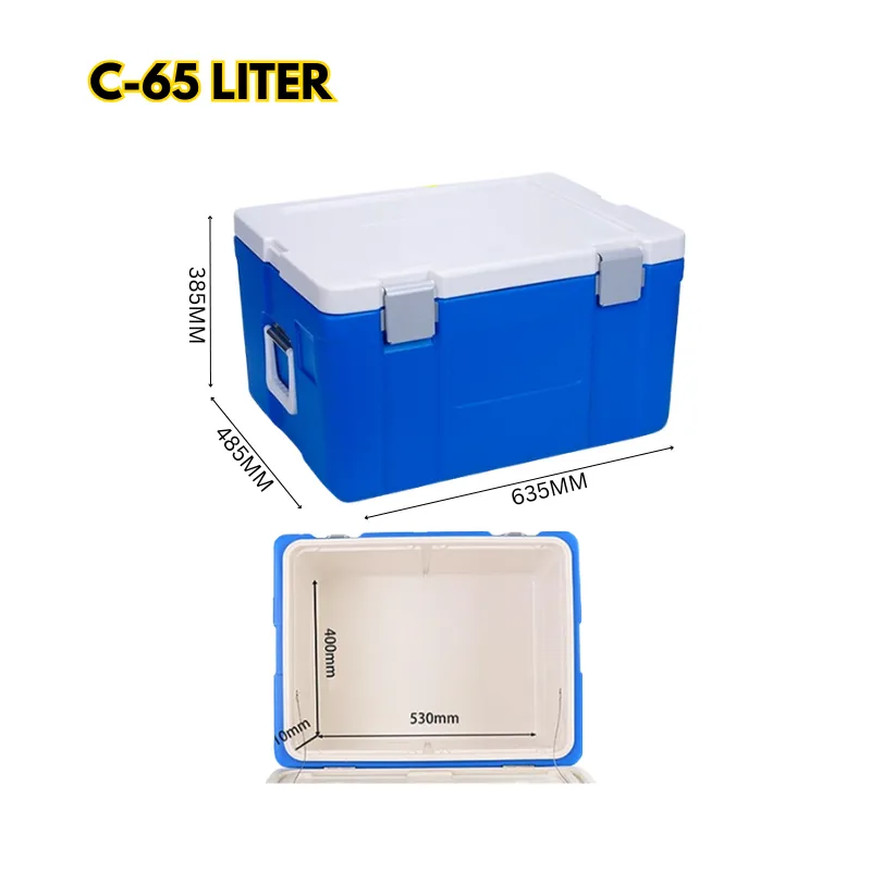 Cool Box Food Storage Box Home Refrigerator Outdoor Portable Compressor Cool Box, Refrigerated Fresh, Keeps Cold, Car and Camping, Travel