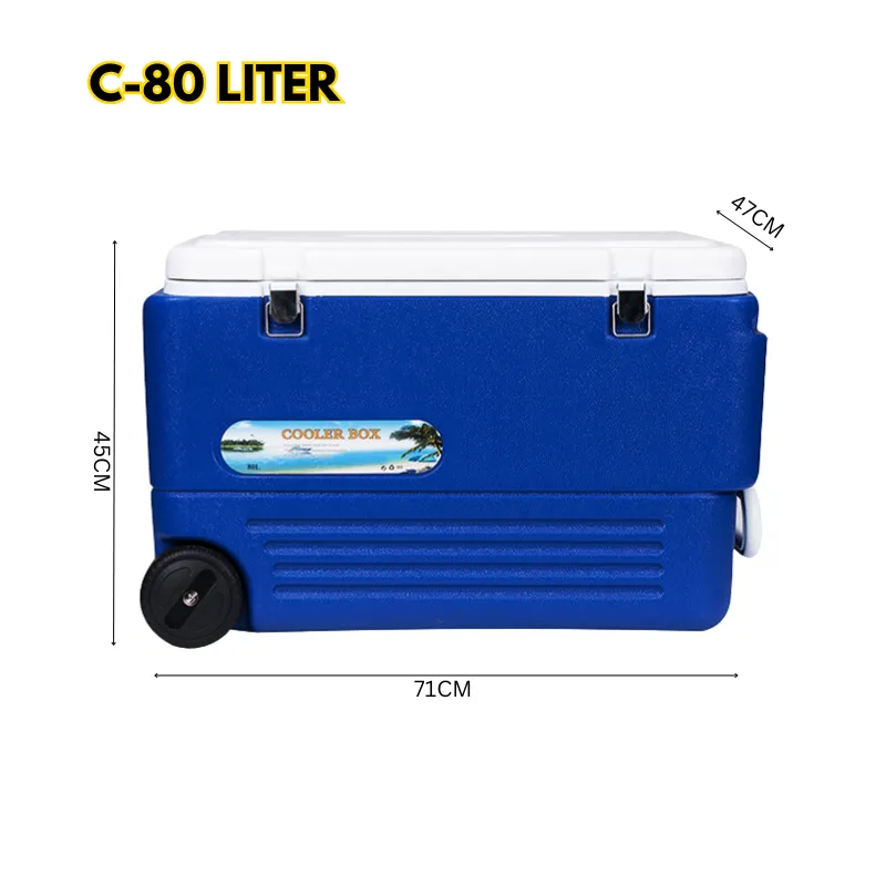 Cool Box Food Storage Box Home Refrigerator Outdoor Portable Compressor Cool Box, Refrigerated Fresh, Keeps Cold, Car and Camping, Travel
