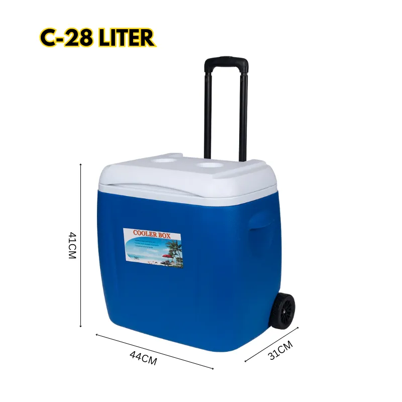 Cool Box Food Storage Box Home Refrigerator Outdoor Portable Compressor Cool Box, Refrigerated Fresh, Keeps Cold, Car and Camping, Travel