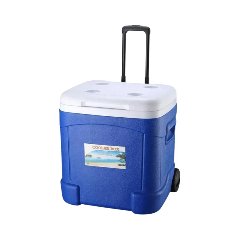 Cool Box Food Storage Box Home Refrigerator Outdoor Portable Compressor Cool Box, Refrigerated Fresh, Keeps Cold, Car and Camping, Travel