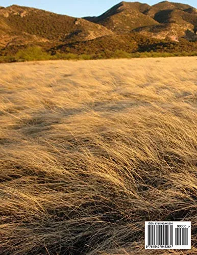 Cowboy Hat Making Fundamentals: Or How to Make a Fur Felt Sombrero That'll Fit Your Head