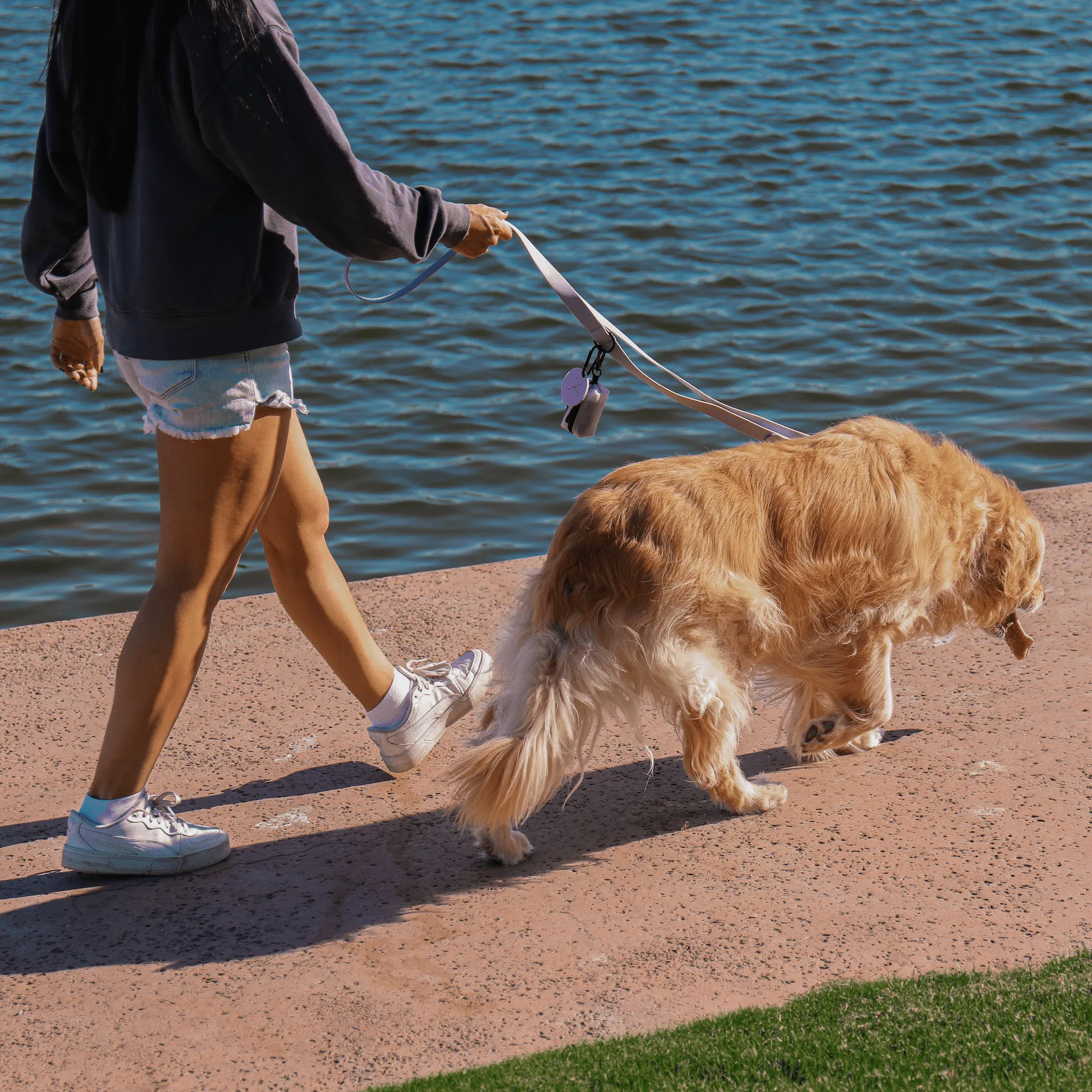 Heather Purple Waterproof Dog Leash