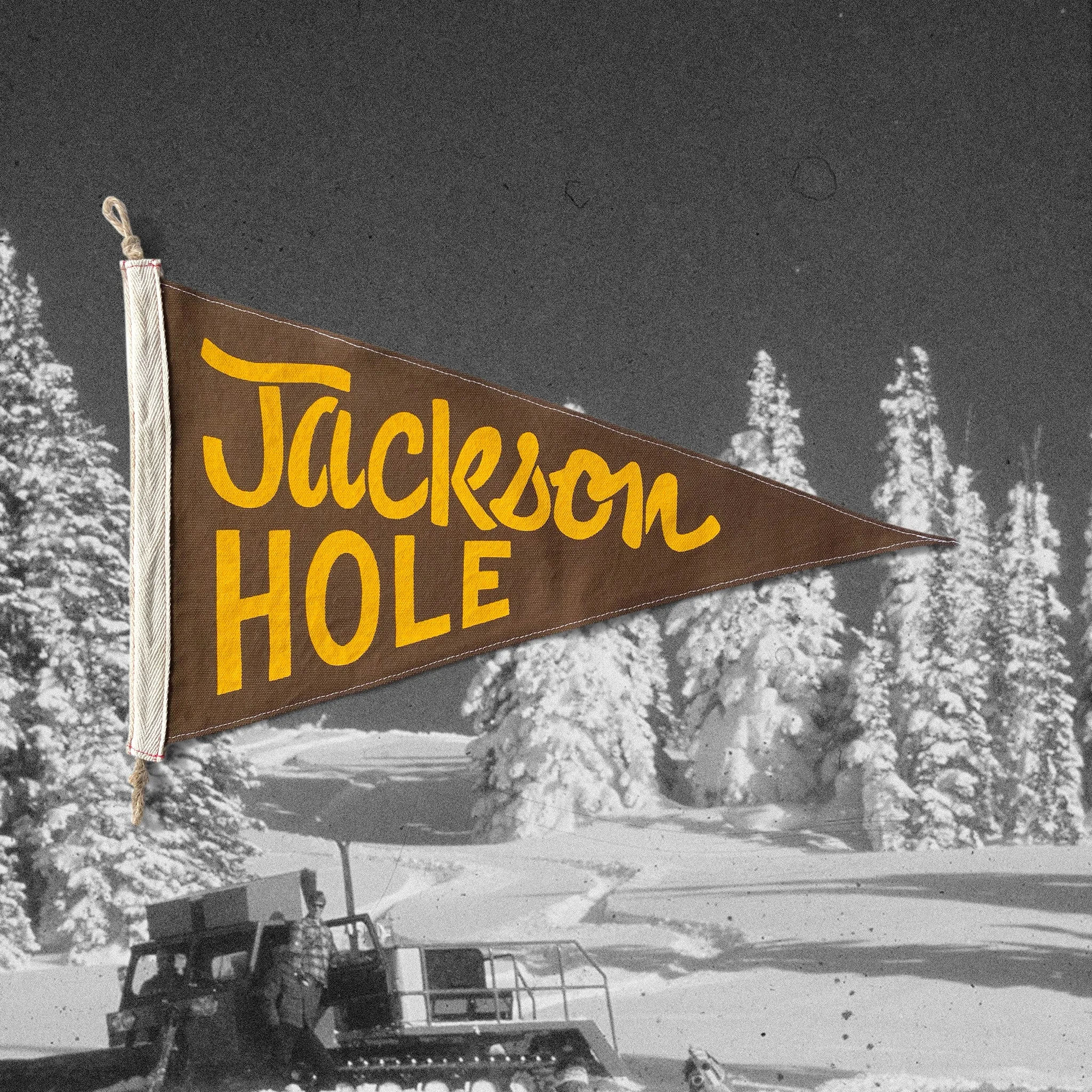 Jackson Hole Flag