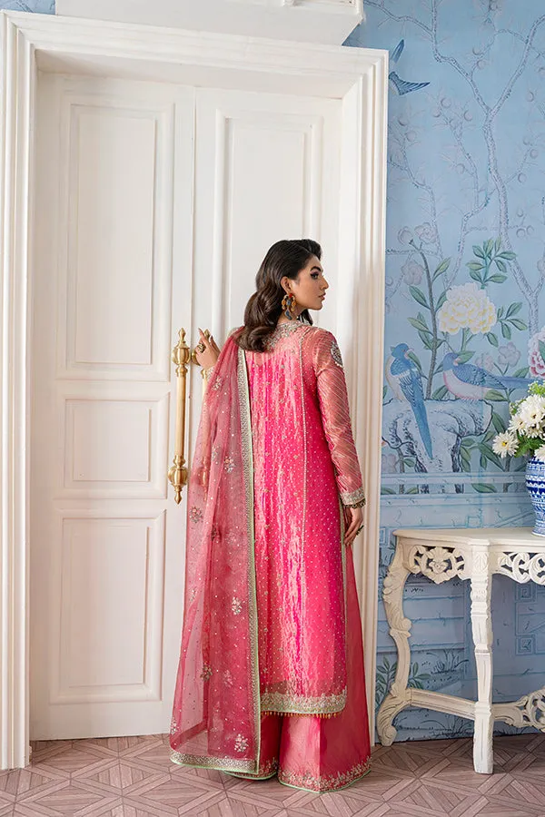 Kameez Trouser Dupatta Pink Pakistani Wedding Dress