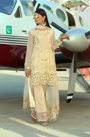 Latest Pakistani Party Dress in Lime Touch # C2042