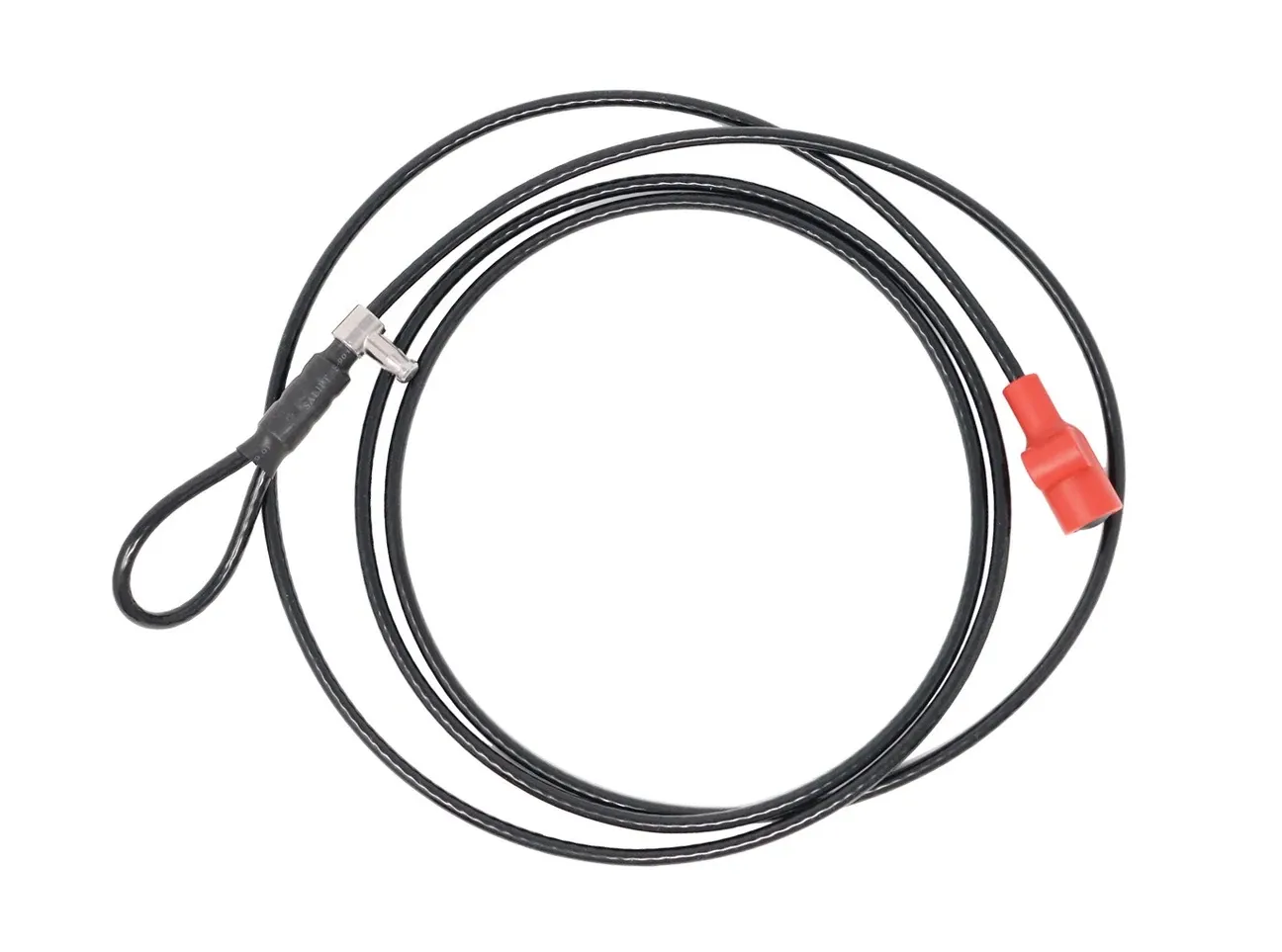 Locking Cable - 9'
