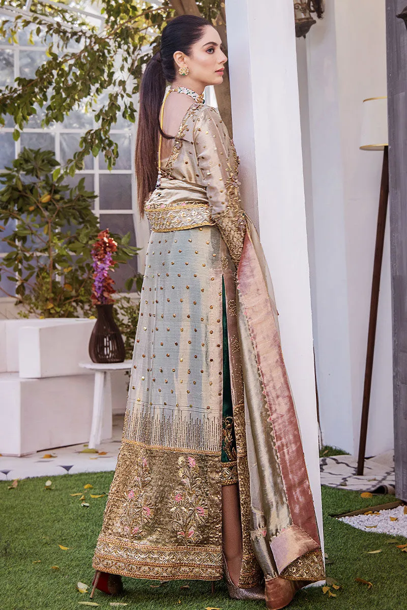 Long Kameez Trouser Embellished Pakistani Wedding Dress