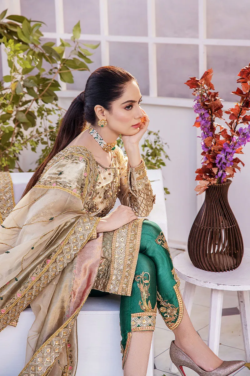 Long Kameez Trouser Embellished Pakistani Wedding Dress
