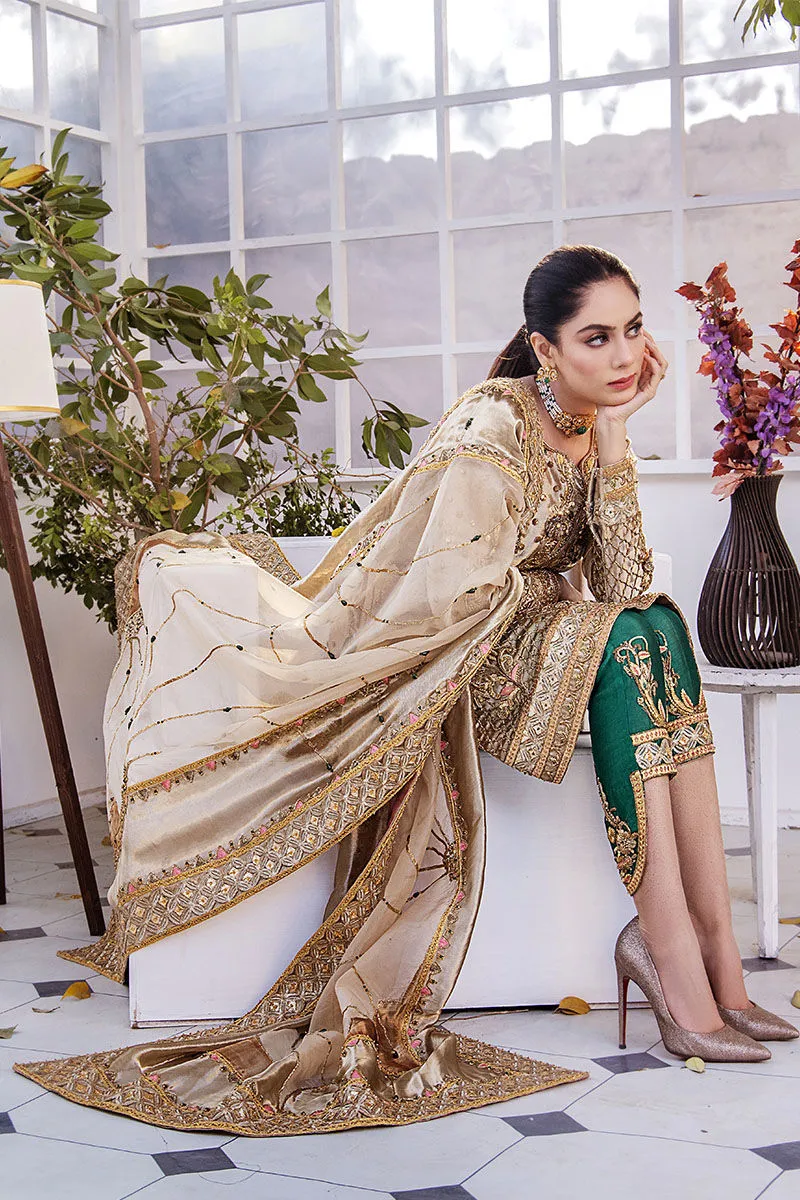 Long Kameez Trouser Embellished Pakistani Wedding Dress
