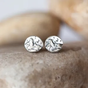 Midnight Mountain Adventure Silver Earrings