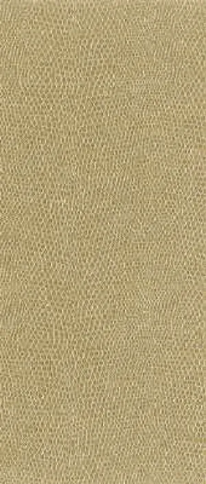 Moccasin-161