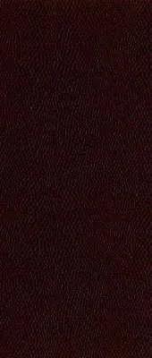 Moccasin-99