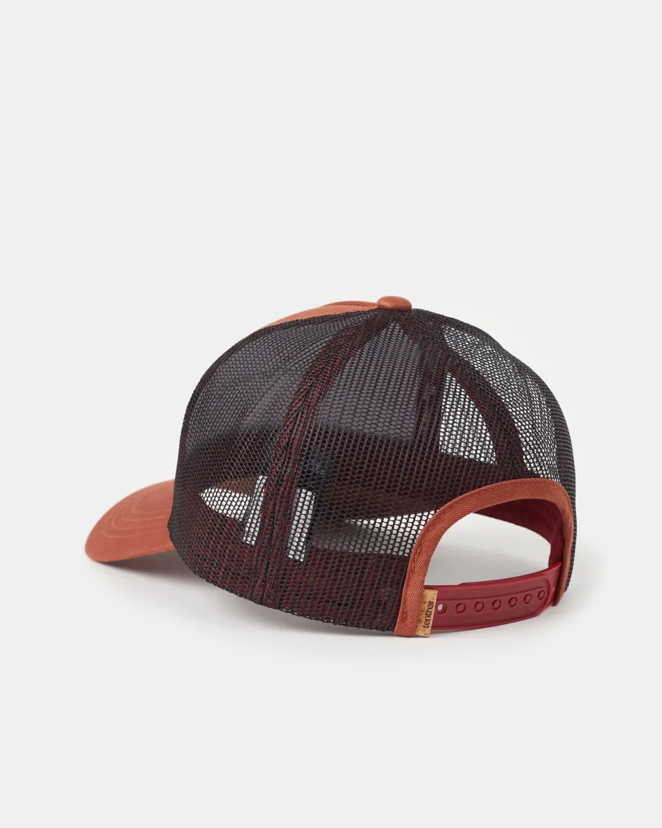 Mountain Patch Altitude Hat