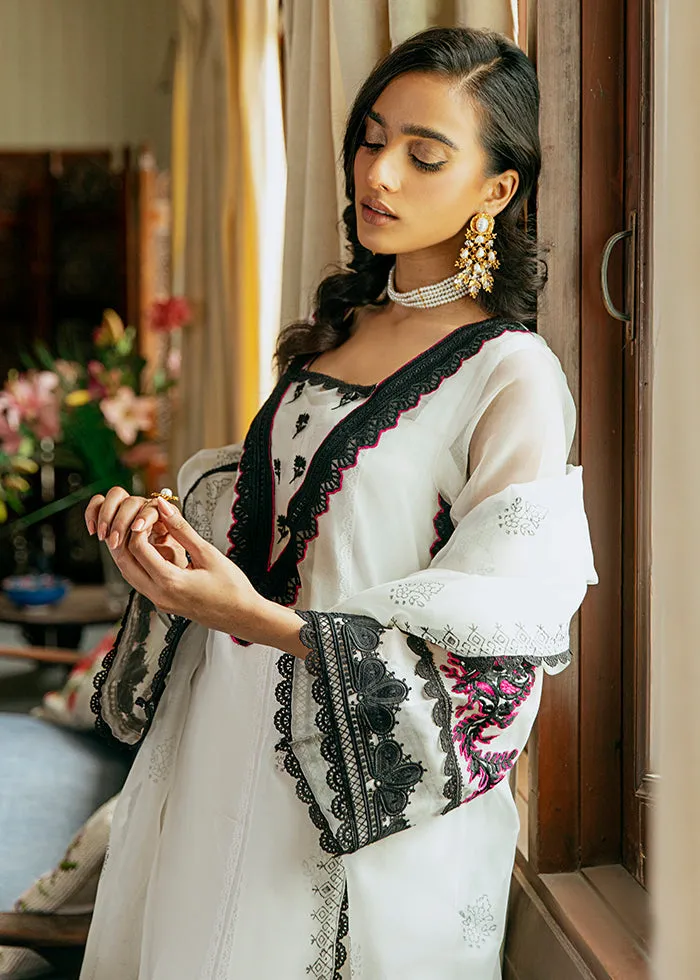 Organza Kameez Trouser Embroidered Pakistani Eid Dress