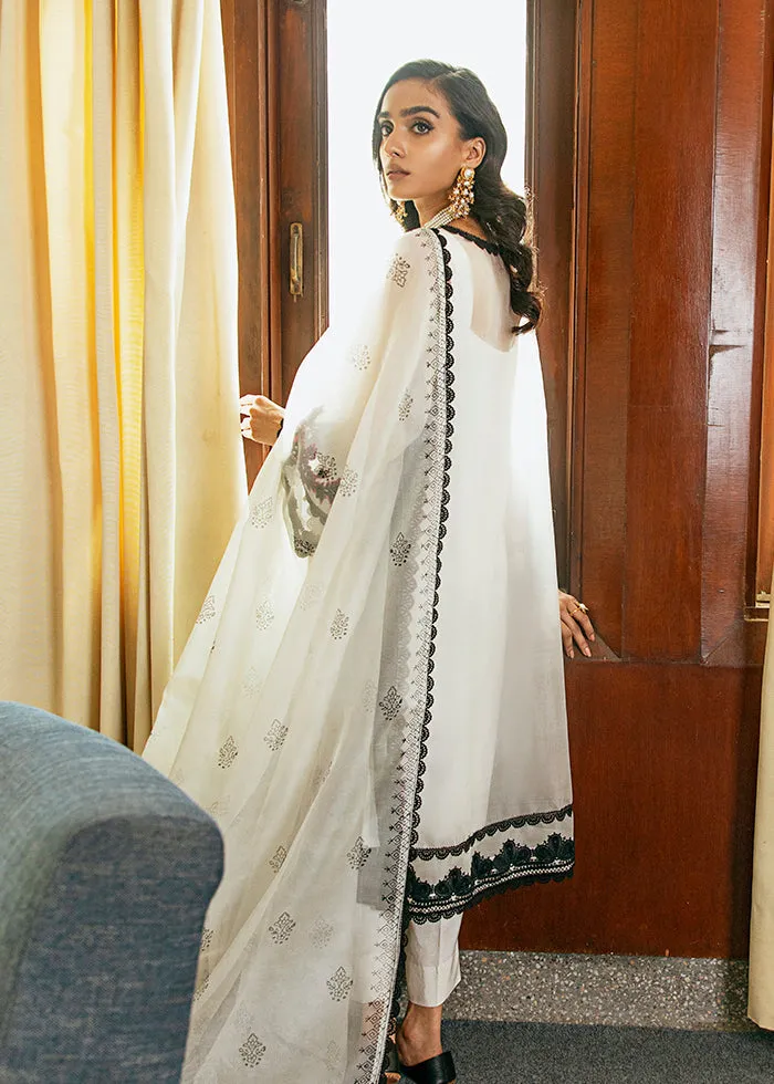 Organza Kameez Trouser Embroidered Pakistani Eid Dress