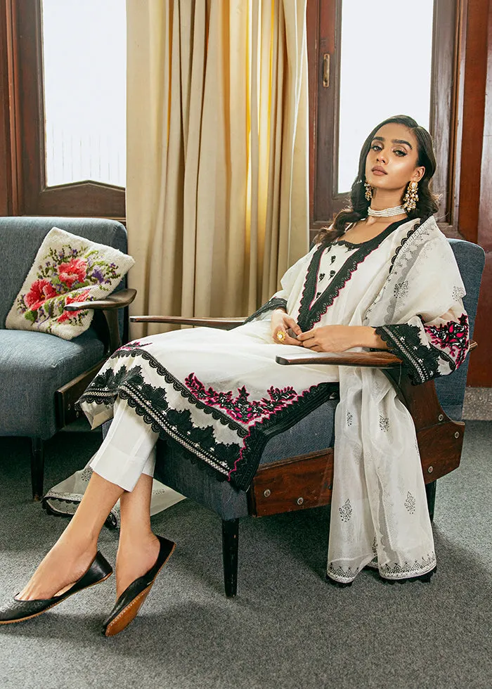 Organza Kameez Trouser Embroidered Pakistani Eid Dress