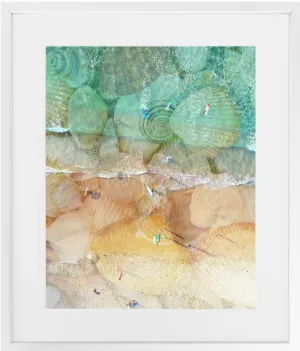 She Sells Seashells Framed Print