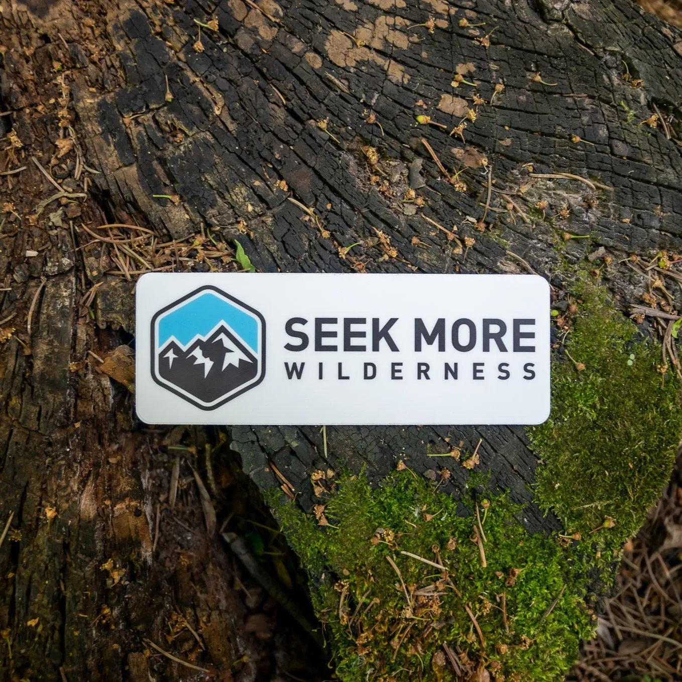 Sticker - Seek More Wilderness