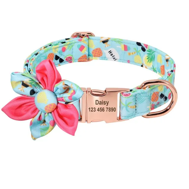 Theme based Fruit Collars for Dogs | Personalized ID Collars