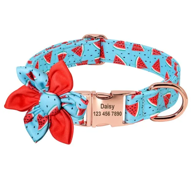 Theme based Fruit Collars for Dogs | Personalized ID Collars