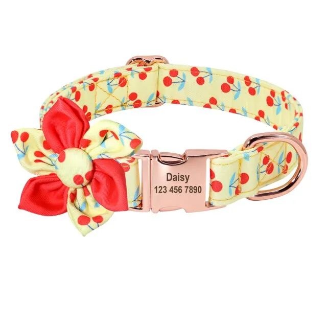 Theme based Fruit Collars for Dogs | Personalized ID Collars