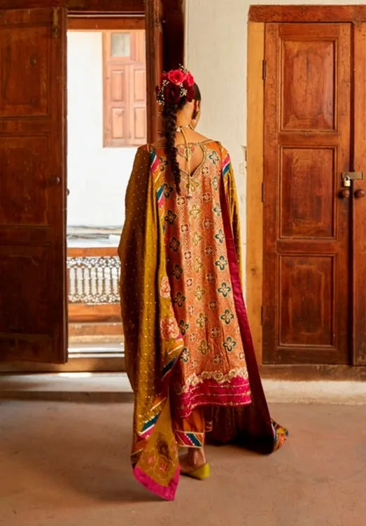 Traditional Kameez Trouser Pakistani Wedding Dress