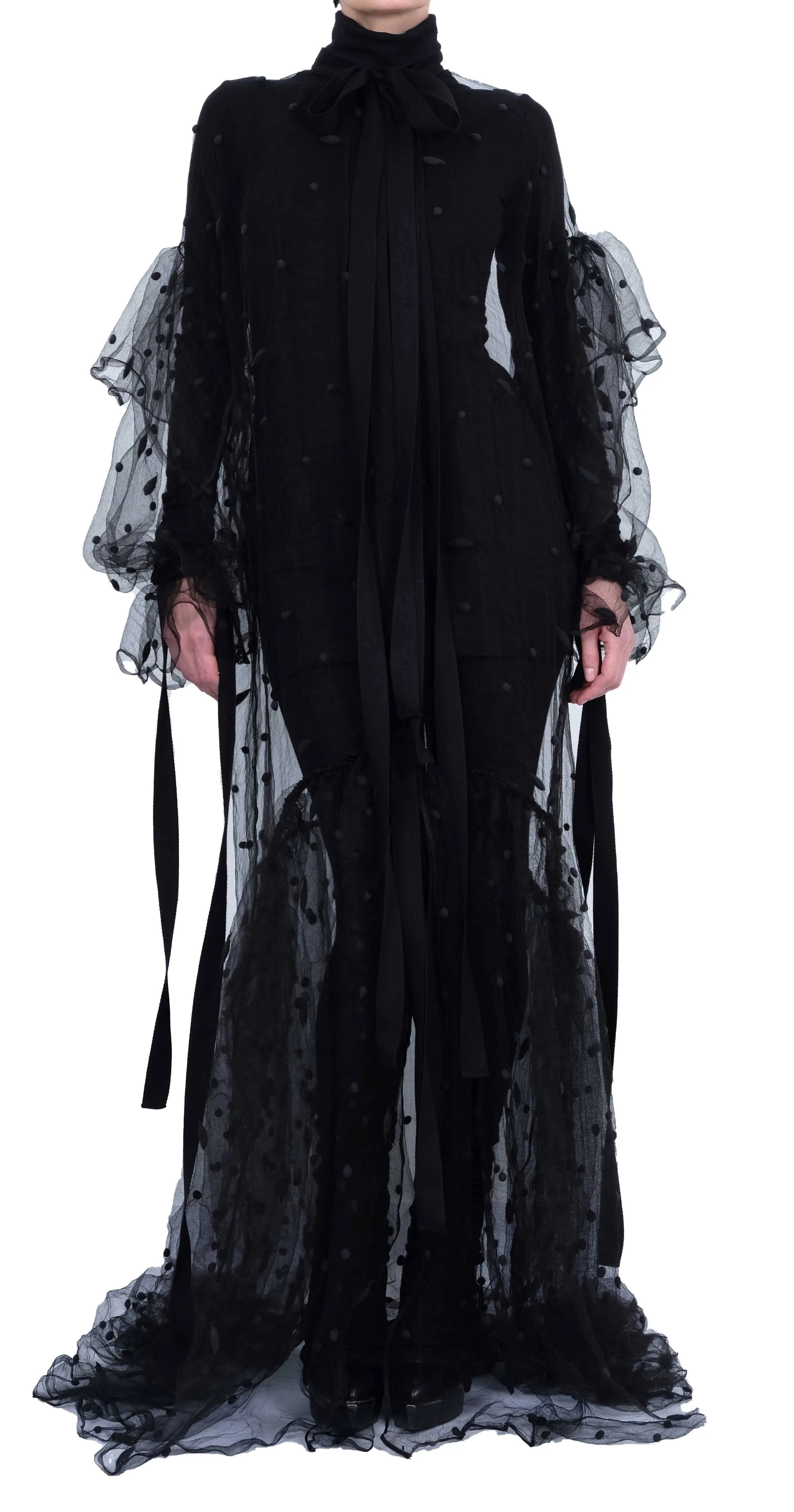 Transparent Silk Maxi Dress with Belle Sleeves