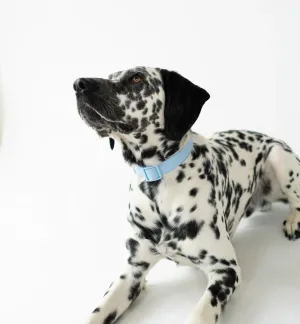Waterproof Collar