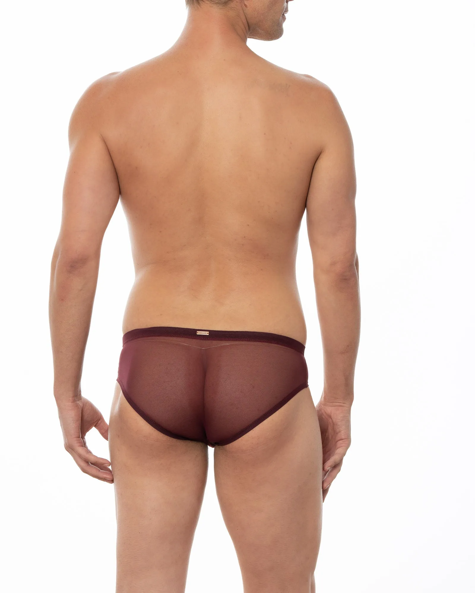 Wine JASPER -  Sheer Mesh Bikini Brief