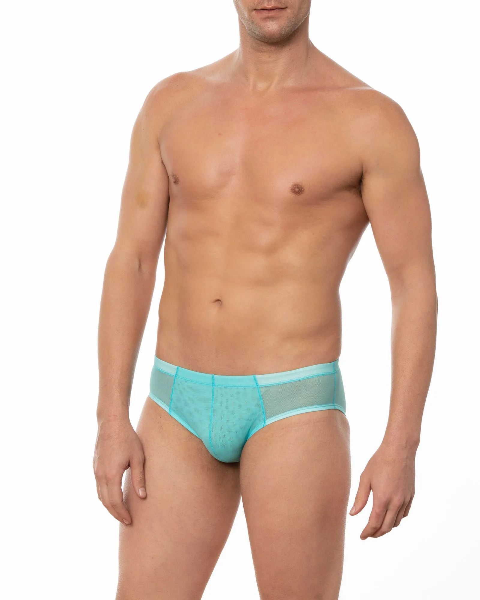 Wine JASPER -  Sheer Mesh Bikini Brief