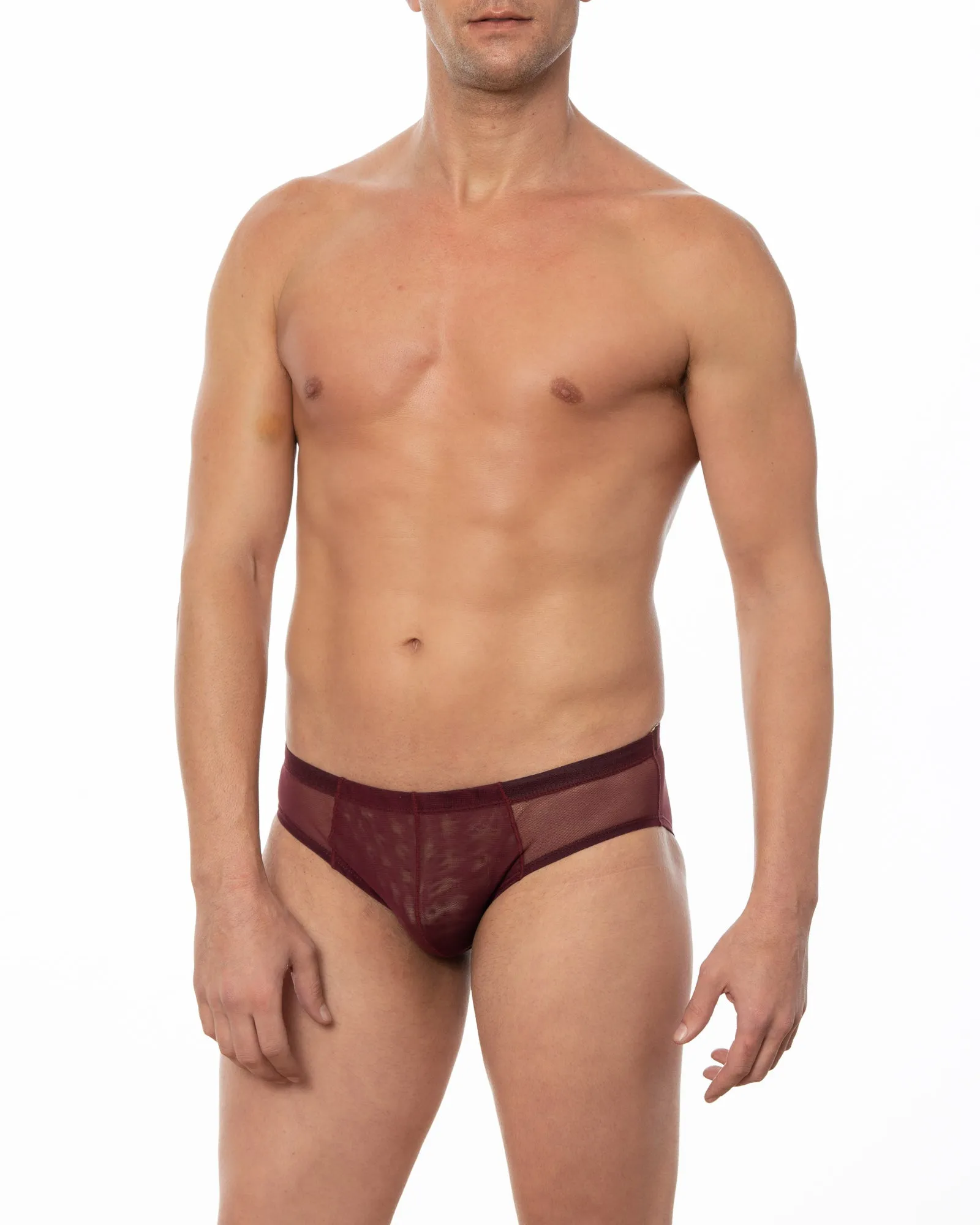 Wine JASPER -  Sheer Mesh Bikini Brief