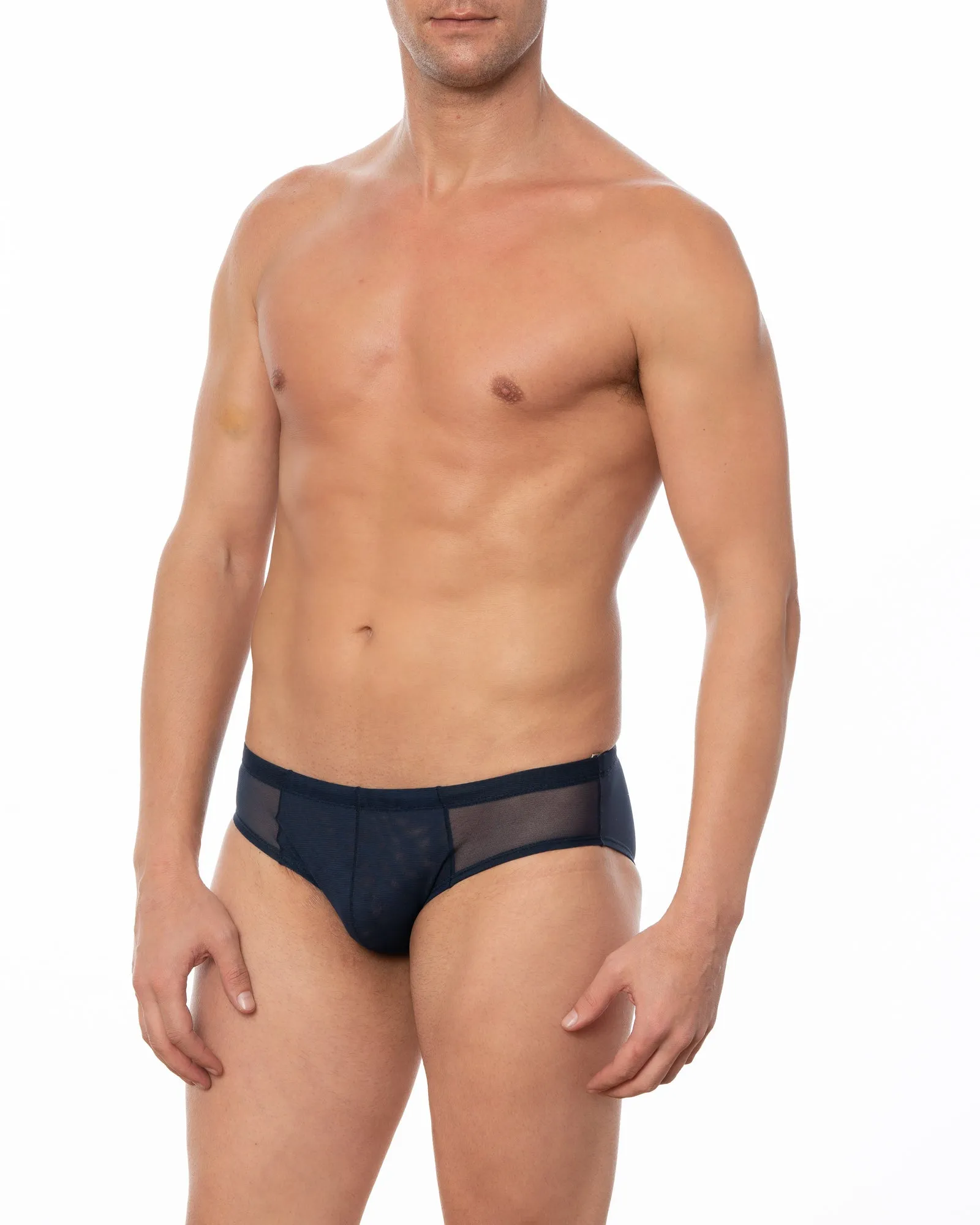 Wine JASPER -  Sheer Mesh Bikini Brief